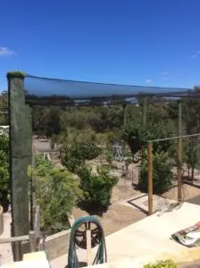 A fence that is in the middle of an orchard.