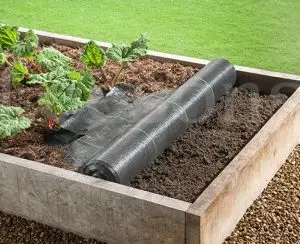 A fence that is in the middle of an orchard.