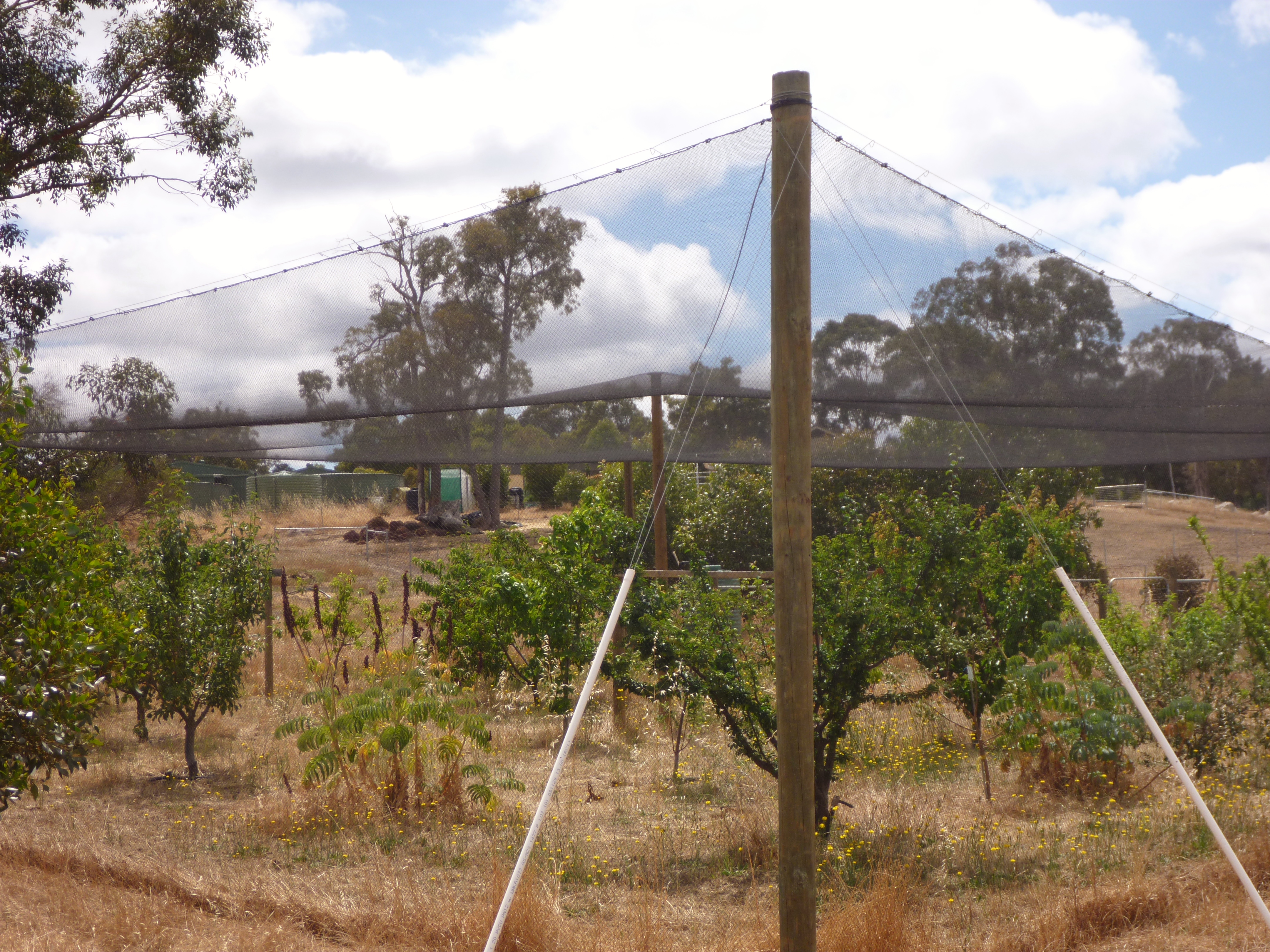 Crackpots Rural Structure
