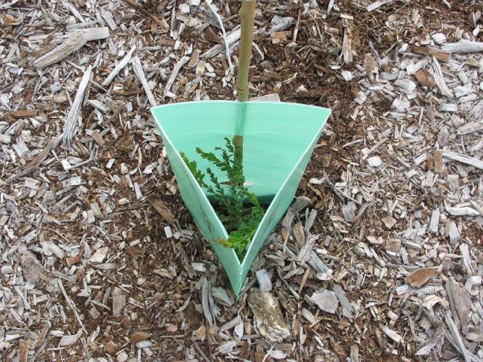Tree Guards a great investment.