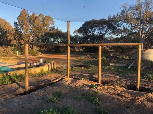 The EziBuild way to keep birds off your fruit trees.