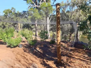 A wooden pole in the middle of a field.