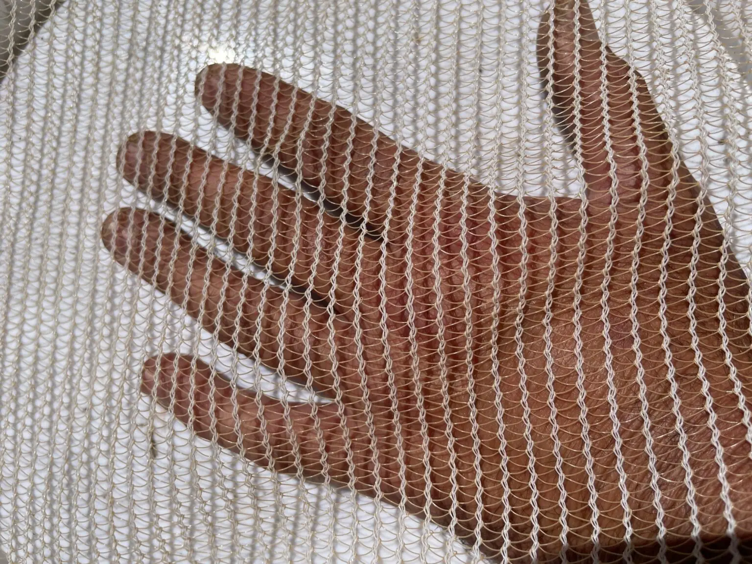 A hand is shown through the mesh of a screen.