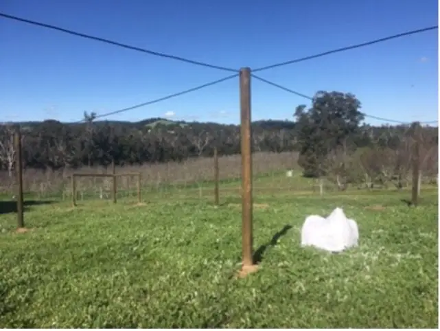 Centre pole of an orchard structure with sheathed wire frame