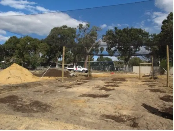 Bird Netting stretched over poles & wire to create enclosed orchard structure