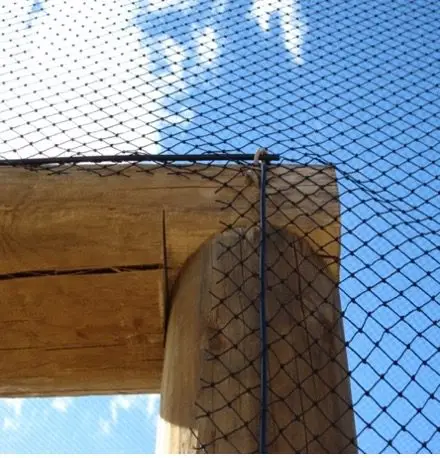 Gateway into orchard structure with bird netting