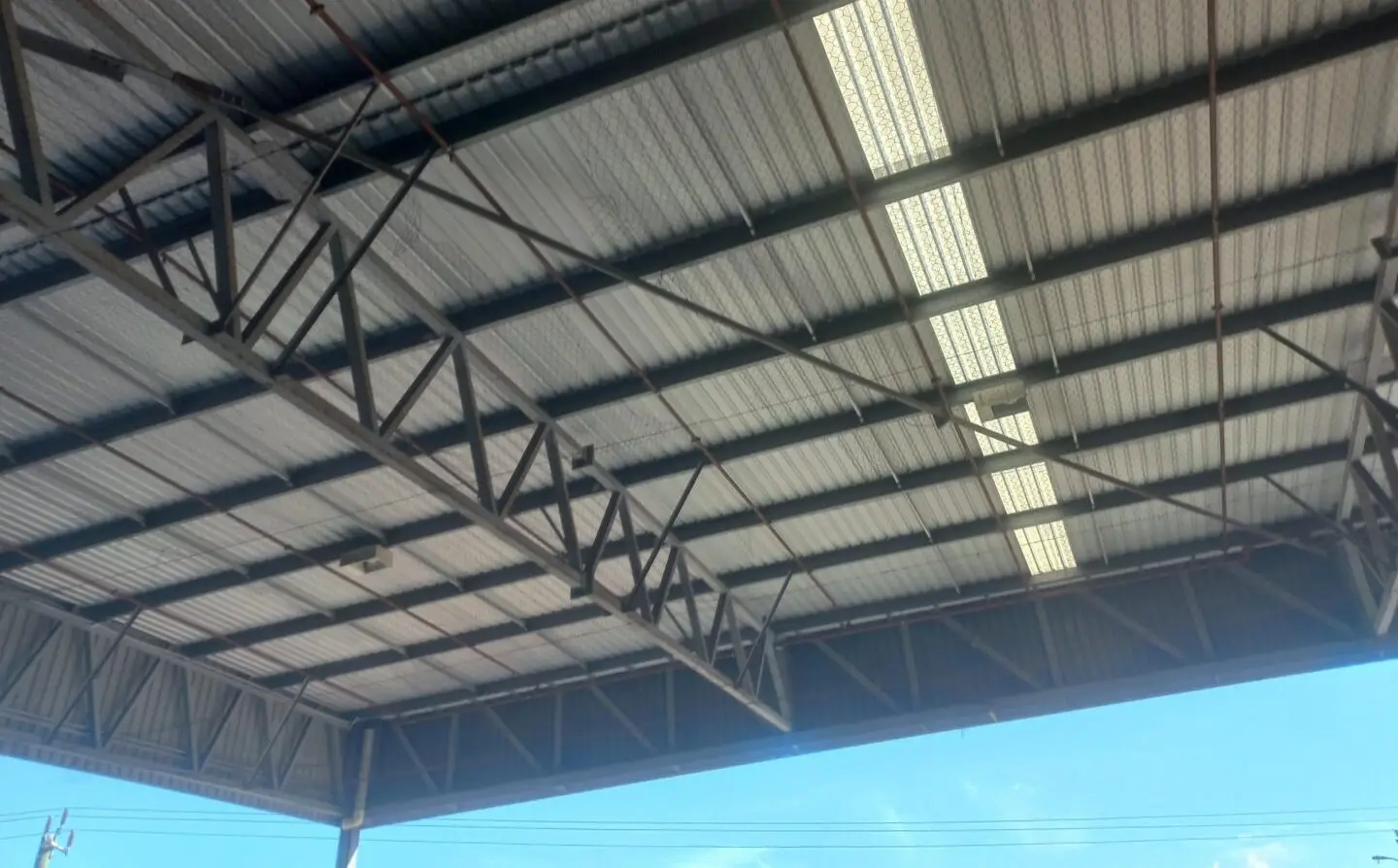 Warehouse roof with bird netting