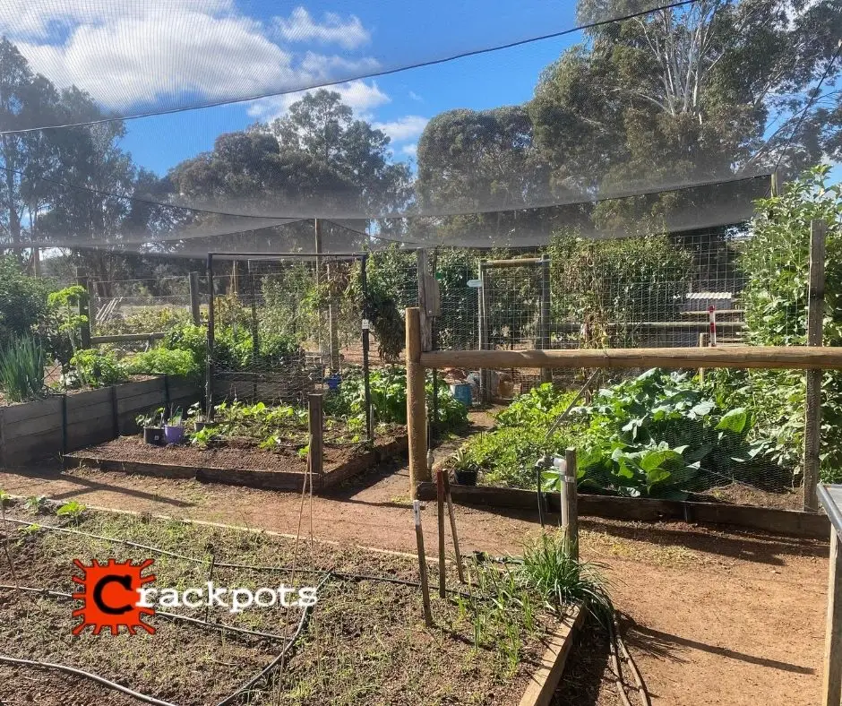 Breathing new life into the backyard: Michael’s EZBuild transformation | Crackpots Rural