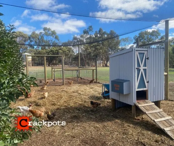 Breathing new life into the backyard: Michael’s EZBuild transformation | Crackpots Rural