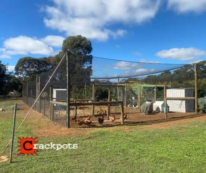 Breathing new life into the backyard: Michael’s EZBuild transformation | Crackpots Rural
