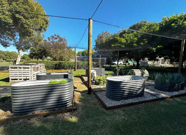 Ezibuild orchard structure is the best way to beat the birds!