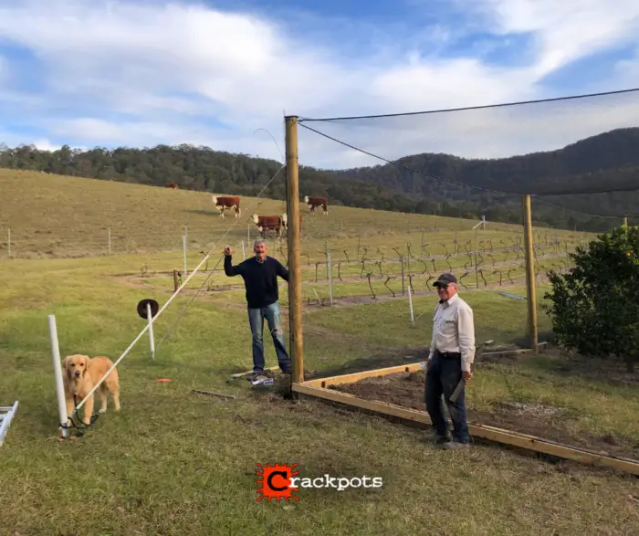 From Tree‑by‑Tree Netting to a Fully Protected EZBuild Orchard in Cessnock | Crackpots Rural