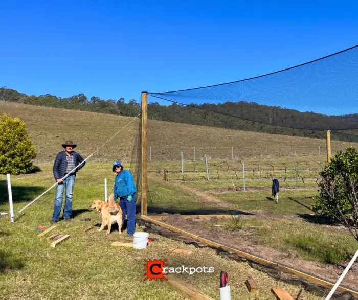 From Tree‑by‑Tree Netting to a Fully Protected EZBuild Orchard in Cessnock | Crackpots Rural