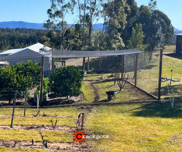 From Tree‑by‑Tree Netting to a Fully Protected EZBuild Orchard in Cessnock | Crackpots Rural