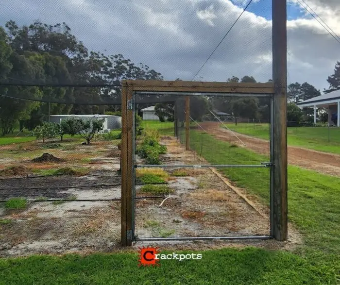 Protecting Paradise at Kalgan Retreat: Bianca’s EZBuild Orchard Upgrade | Crackpots Rural