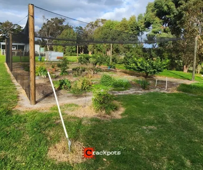 Protecting Paradise at Kalgan Retreat: Bianca’s EZBuild Orchard Upgrade | Crackpots Rural
