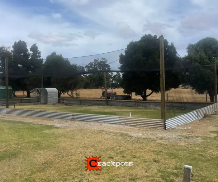 Crafting a Safe and Productive Space: Craig’s Custom EZBuild Orchard in Busselton | Crackpots Rural