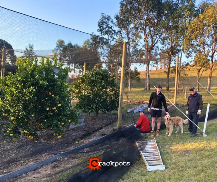 From Tree‑by‑Tree Netting to a Fully Protected EZBuild Orchard in Cessnock | Crackpots Rural