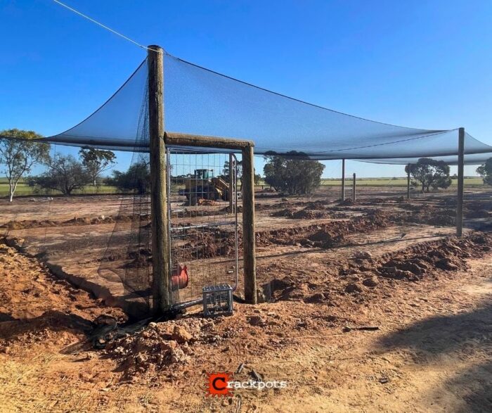 From Dry Summers to Protected Produce: Kelsey’s EZBuild Orchard in Kojonup | Crackpots Rural