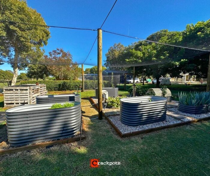 From Lush Lawn to Protected Produce: Clayton’s EZBuild Orchard in Bovell | Crackpots Rural