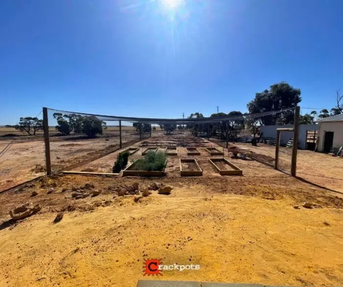 From Dry Summers to Protected Produce: Kelsey’s EZBuild Orchard in Kojonup | Crackpots Rural