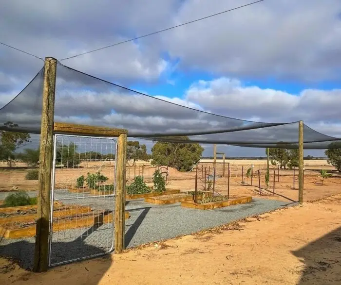 From Dry Summers to Protected Produce: Kelsey’s EZBuild Orchard in Kojonup | Crackpots Rural