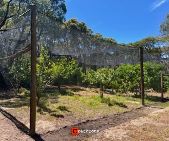 From Hand Dug Trenches to Peppermint Pole Ingenuity: John’s EZBuild Orchard in Denmark | Crackpots Rural
