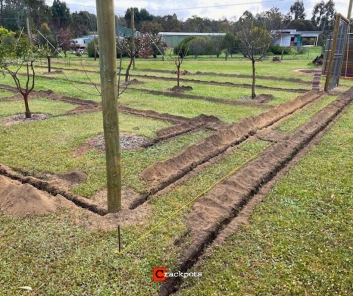 From Tree by Tree Netting to a Smarter EZBuild Orchard: Alan’s Build in Nannup | Crackpots Rural
