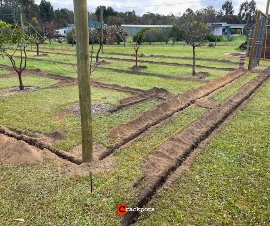 From Tree by Tree Netting to a Smarter EZBuild Orchard: Alan’s Build in Nannup | Crackpots Rural