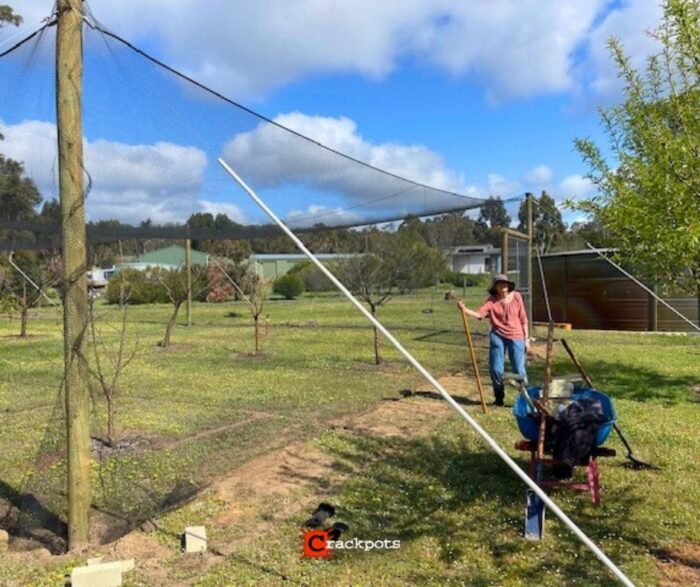 From Tree by Tree Netting to a Smarter EZBuild Orchard: Alan’s Build in Nannup | Crackpots Rural