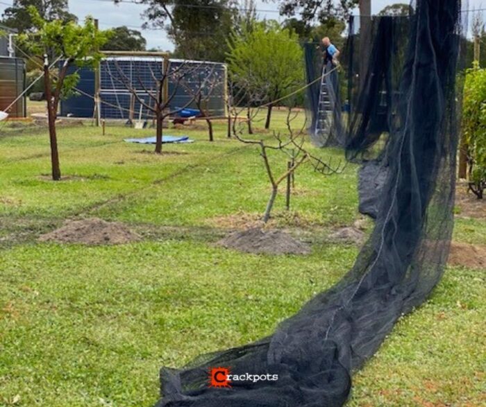 From Tree by Tree Netting to a Smarter EZBuild Orchard: Alan’s Build in Nannup | Crackpots Rural