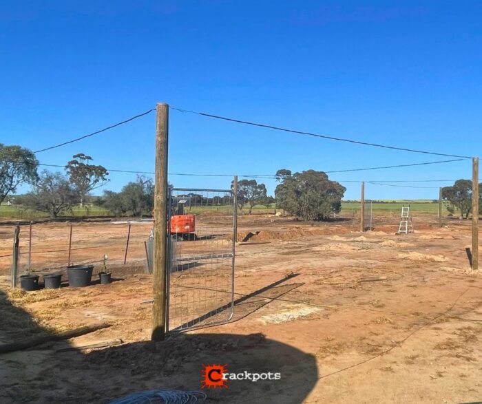 From Dry Summers to Protected Produce: Kelsey’s EZBuild Orchard in Kojonup | Crackpots Rural