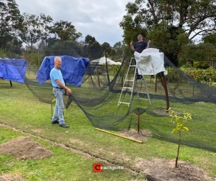 From Tree by Tree Netting to a Smarter EZBuild Orchard: Alan’s Build in Nannup | Crackpots Rural