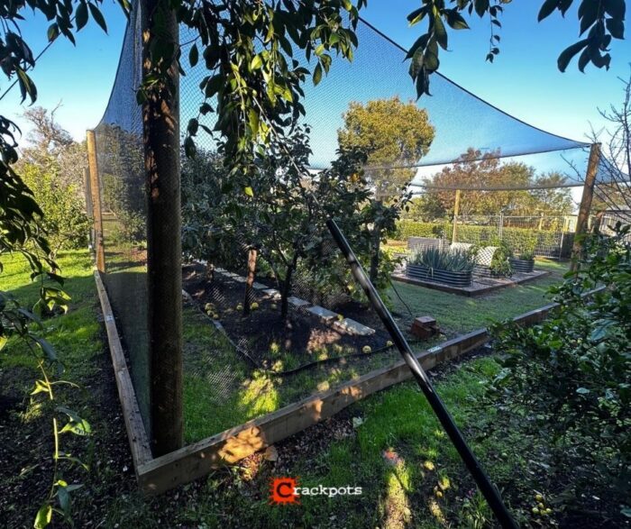 From Lush Lawn to Protected Produce: Clayton’s EZBuild Orchard in Bovell | Crackpots Rural