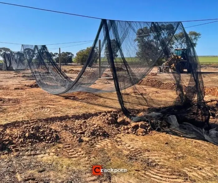 From Dry Summers to Protected Produce: Kelsey’s EZBuild Orchard in Kojonup | Crackpots Rural