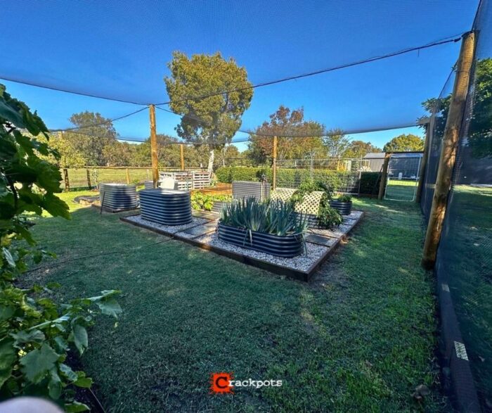 From Lush Lawn to Protected Produce: Clayton’s EZBuild Orchard in Bovell | Crackpots Rural
